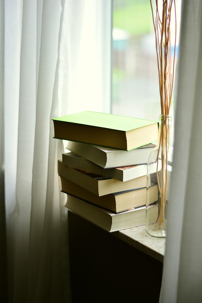 books, read, book stack, literature, training, to study, a book, to learn, window, light, backlighting